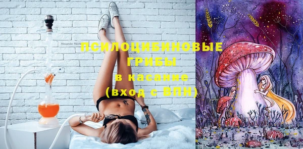 спайс Алексин