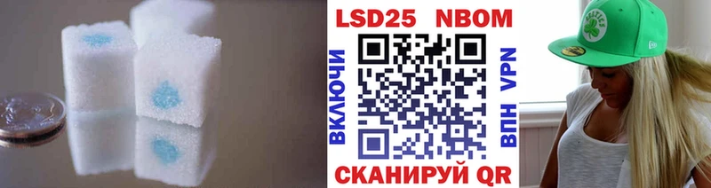 ОМГ ОМГ   Новороссийск  ЛСД экстази ecstasy 