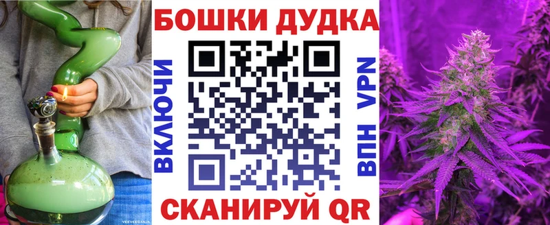 MEGA зеркало  Новороссийск  Марихуана White Widow  купить наркотики цена 